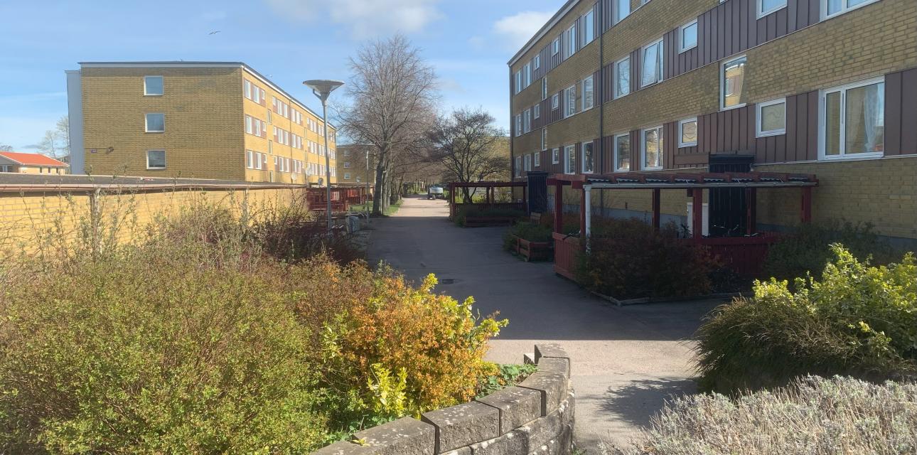 Sloalyckan Falkenberg